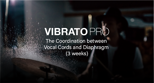 Vibrato Pro